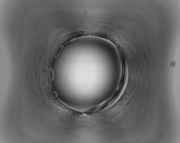 X0000090611153200707241100