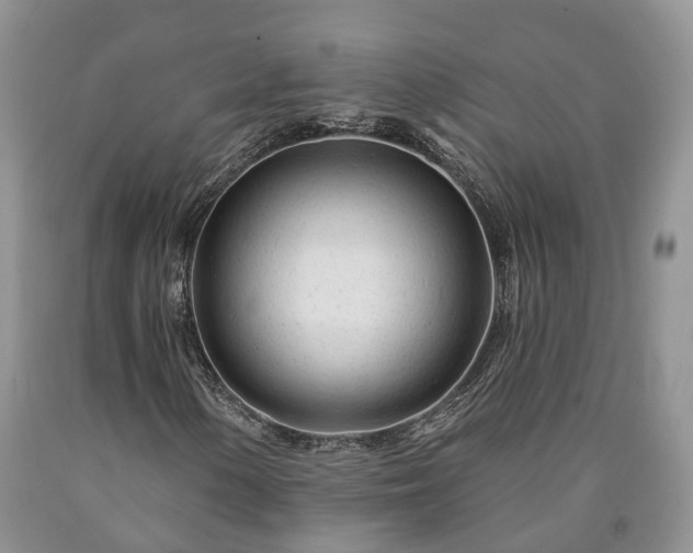 X0000090611154200707241100