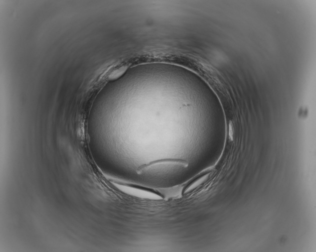 X0000090611155200707241100