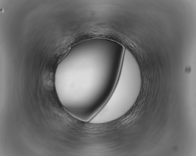 X0000090611156200707241100