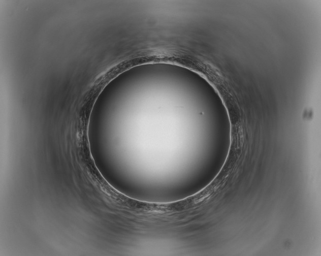 X0000090611158200707241100