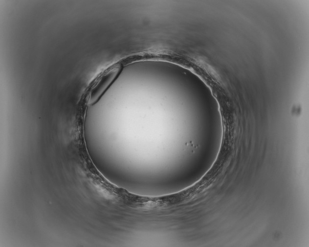 X0000090611160200707241100