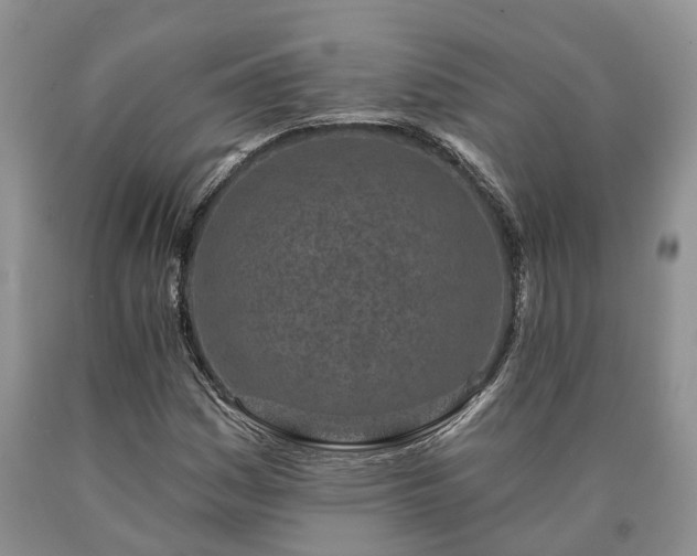 X0000090611161200707241100