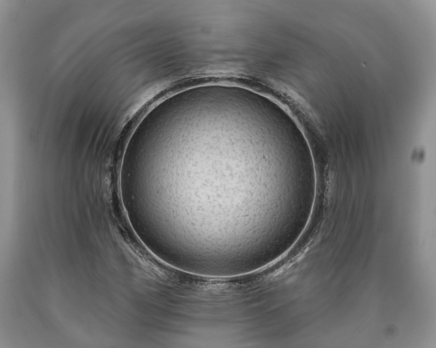 X0000090611162200707241100