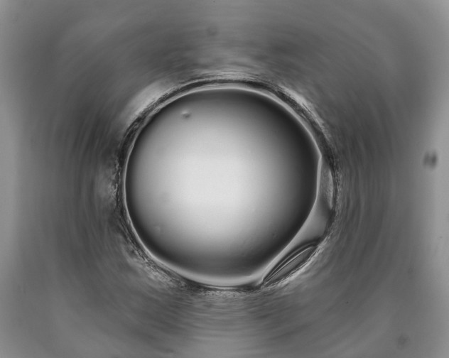 X0000090611163200707241100