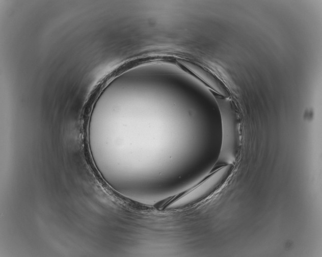 X0000090611164200707241100