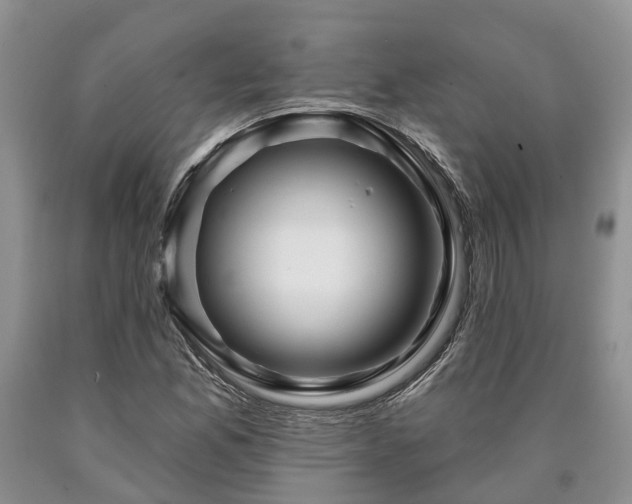 X0000090611165200707241100