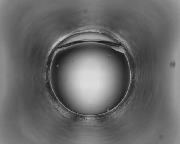 X0000090611166200707241100