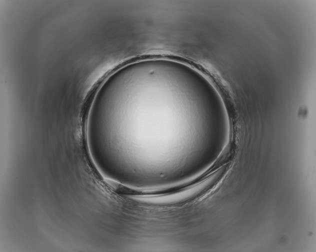 X0000090611167200707241100