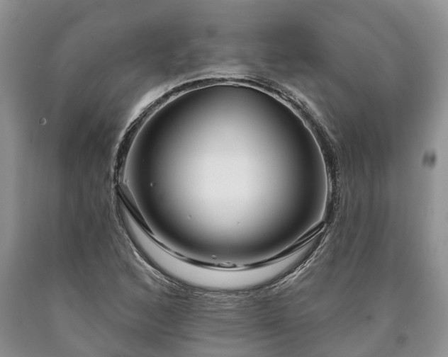 X0000090611168200707241100