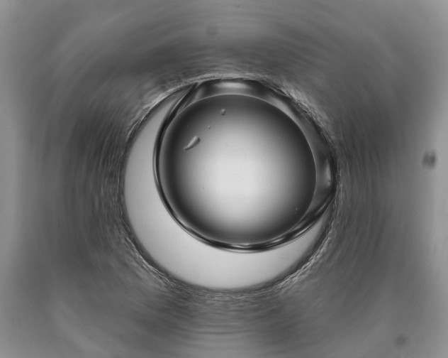 X0000090611169200707241100