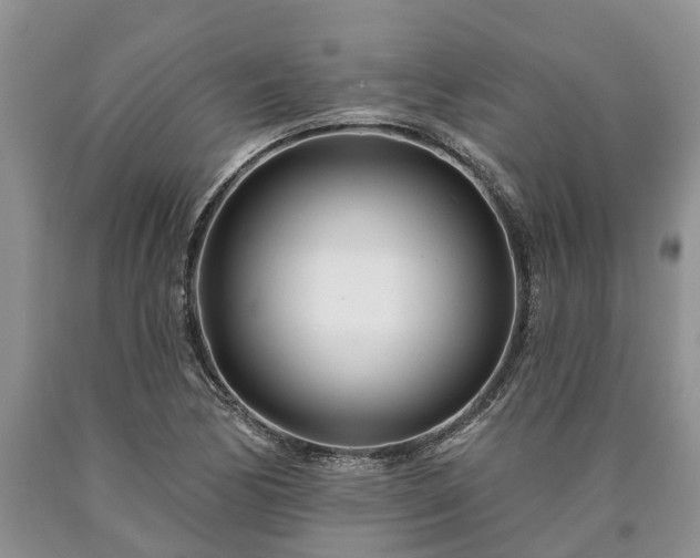 X0000090611170200707241100