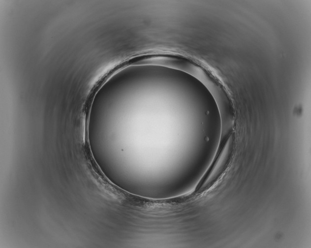 X0000090611171200707241100