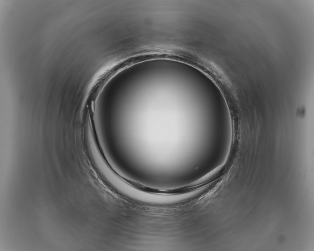 X0000090611172200707241100