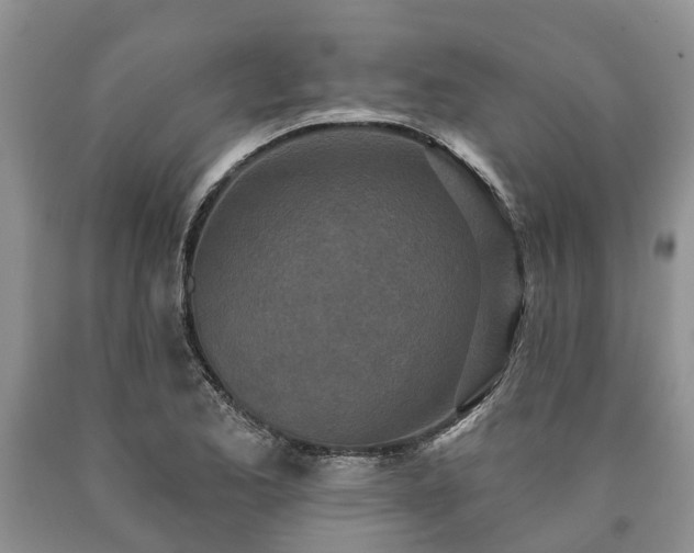 X0000090611173200707241100