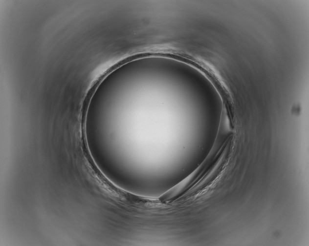 X0000090611176200707241100