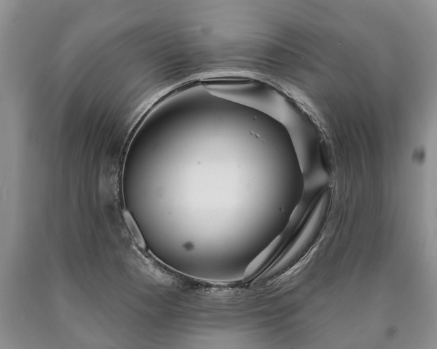 X0000090611177200707241100