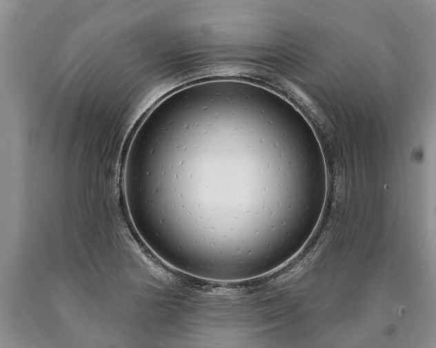 X0000090611178200707241100