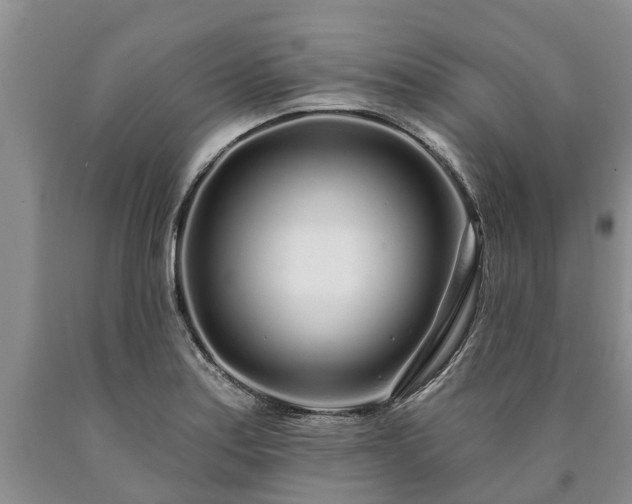 X0000090611179200707241100