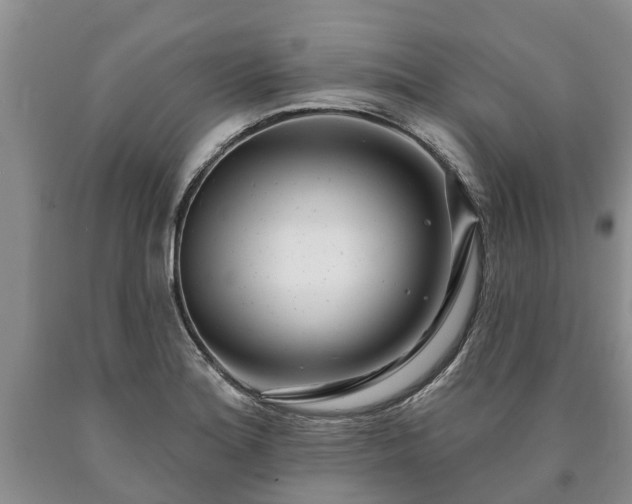 X0000090611180200707241100