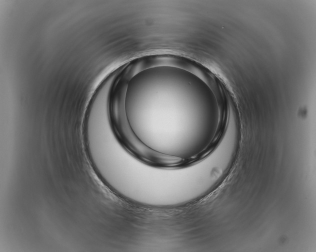 X0000090611181200707241100