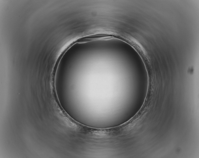 X0000090611182200707241100