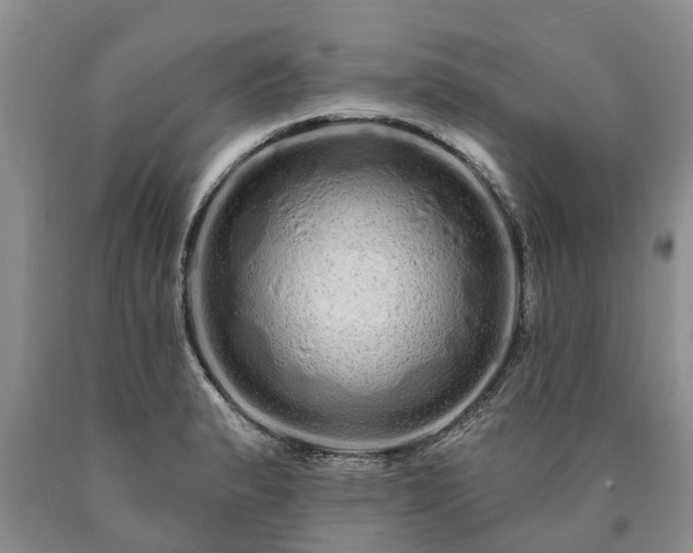 X0000090611183200707241100