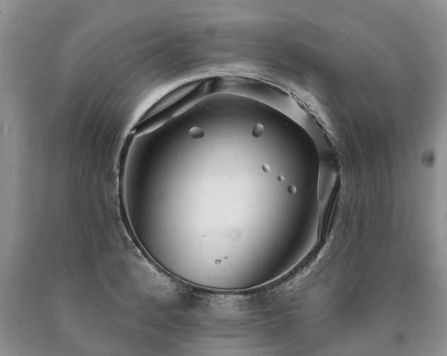 X0000090611184200707241100