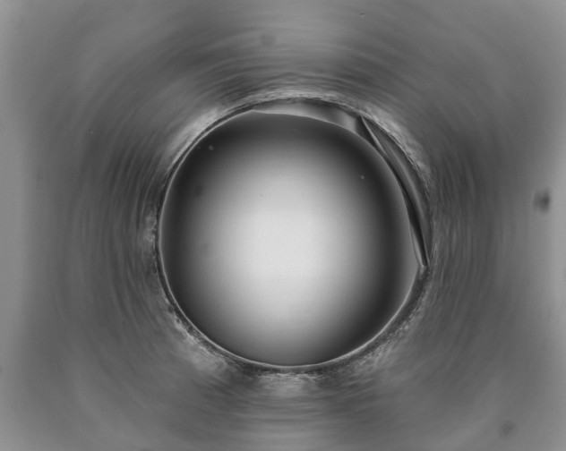 X0000090611185200707241100