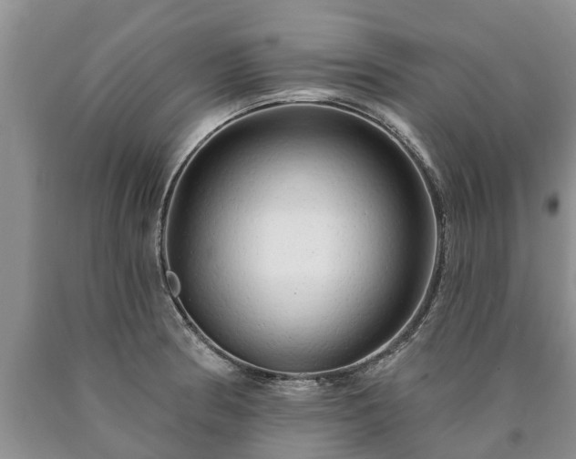 X0000090611186200707241100