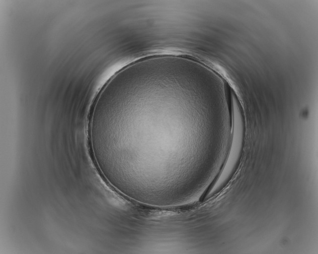 X0000090611187200707241100