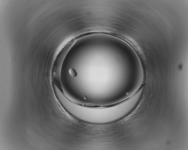 X0000090611188200707241100