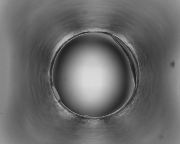 X0000090611189200707241100