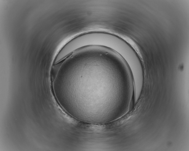 X0000090611191200707241059