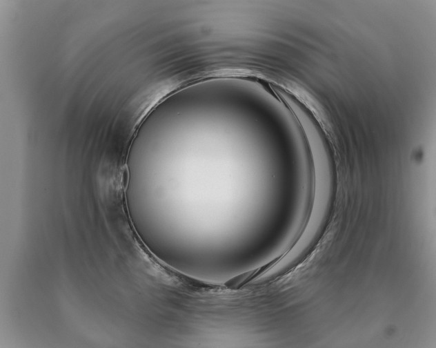 X0000090611193200707241059