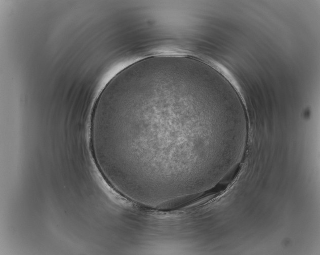 X0000090611195200707241059