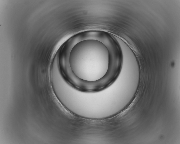 X0000090611196200707241059