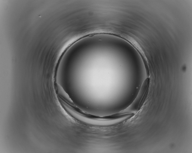 X0000090611197200707241059