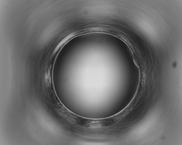 X0000090611198200707241059