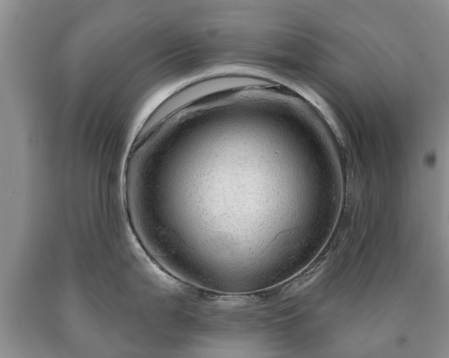 X0000090611199200707241059