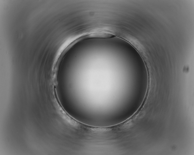 X0000090611200200707241059