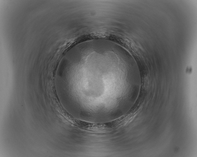 X0000090611201200707241059