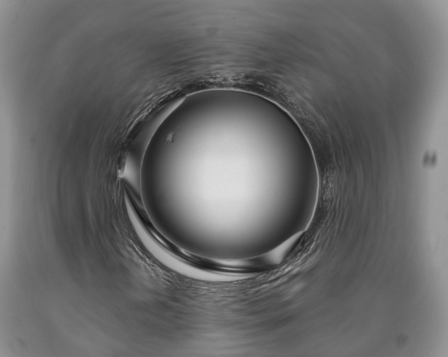 X0000090611202200707241059