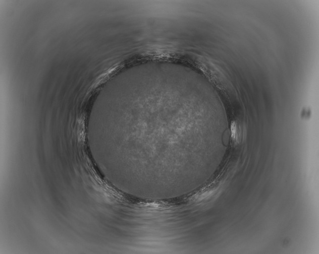 X0000090611203200707241059