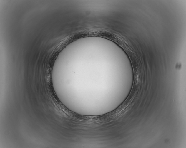 X0000090611204200707241059