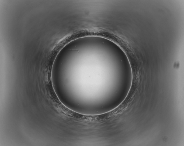 X0000090611205200707241059