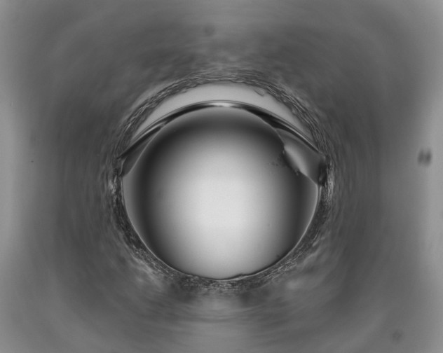 X0000090611206200707241059