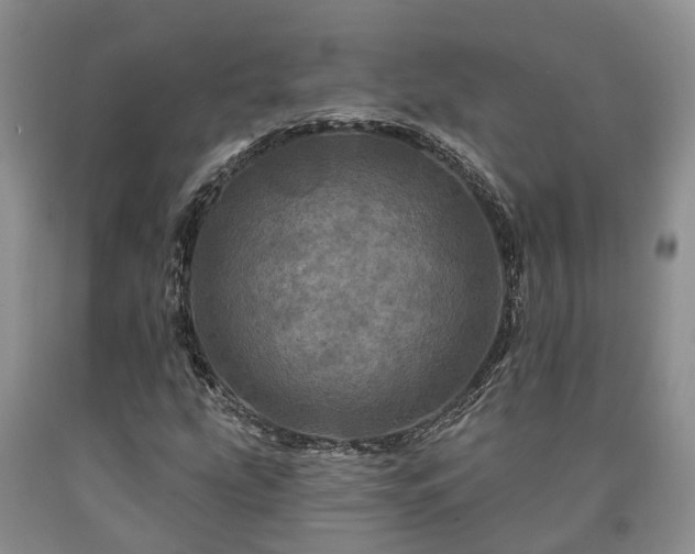 X0000090611207200707241059