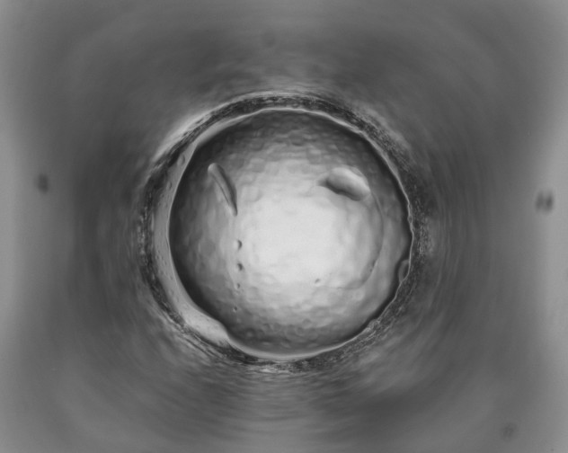 X0000090611208200707241059