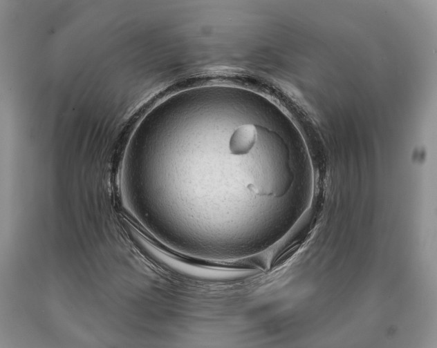 X0000090611209200707241059